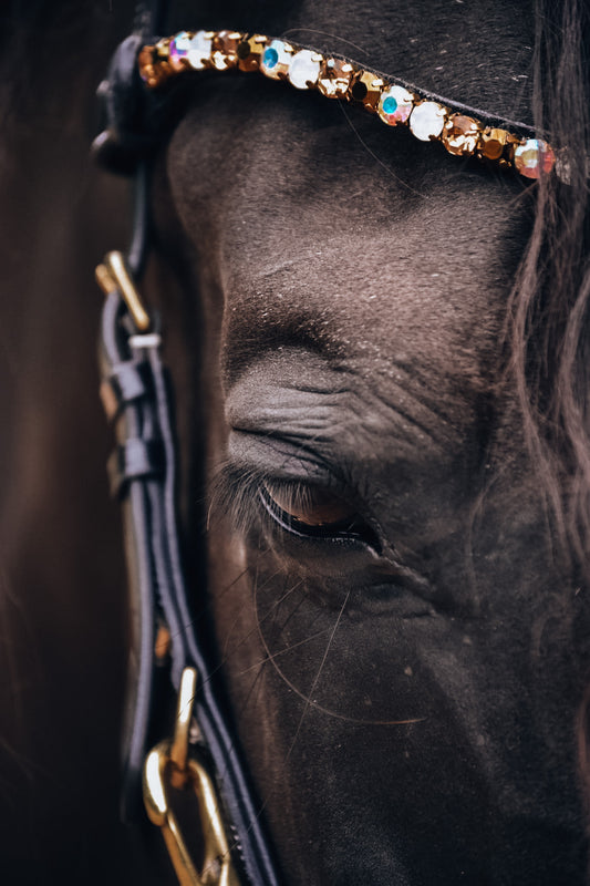 Golden Bridle - In Stock AUS