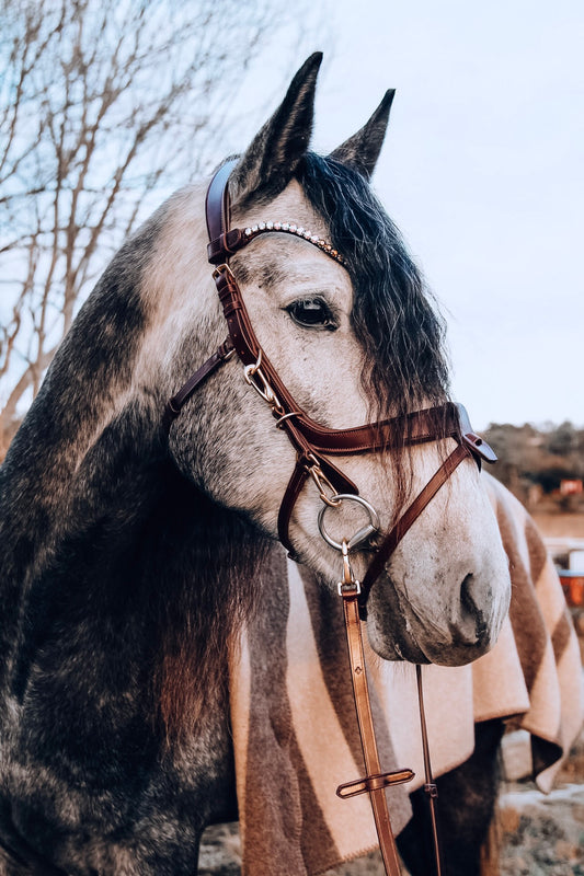 Masego Lily Bridle Wild Rider Masego Lily Bridle Italian leather bridle