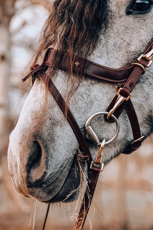 Masego Lily Bridle Wild Rider Masego Lily Bridle Italian leather bridle