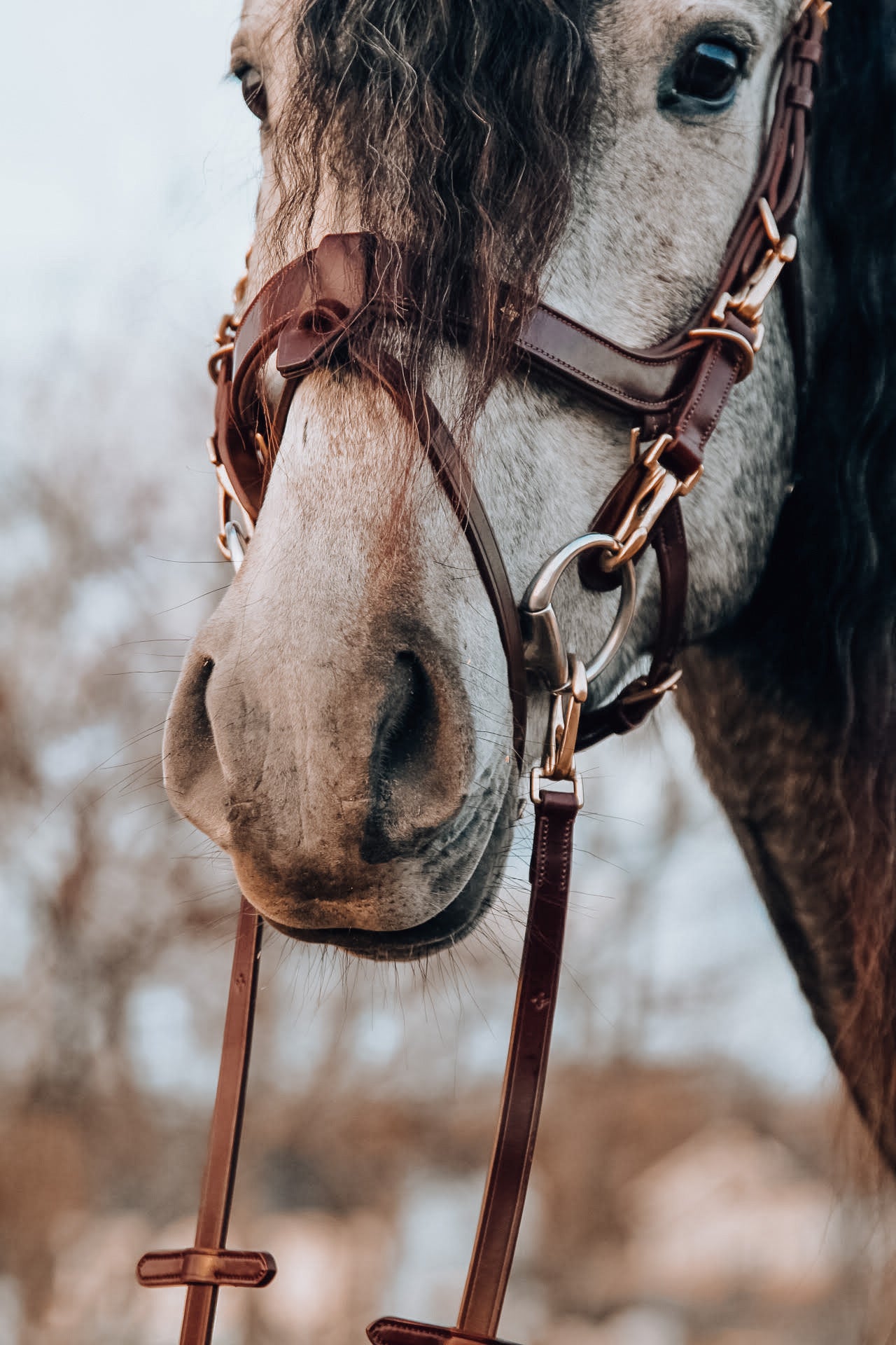 Masego Lily Bridle freeshipping - Wild Rider