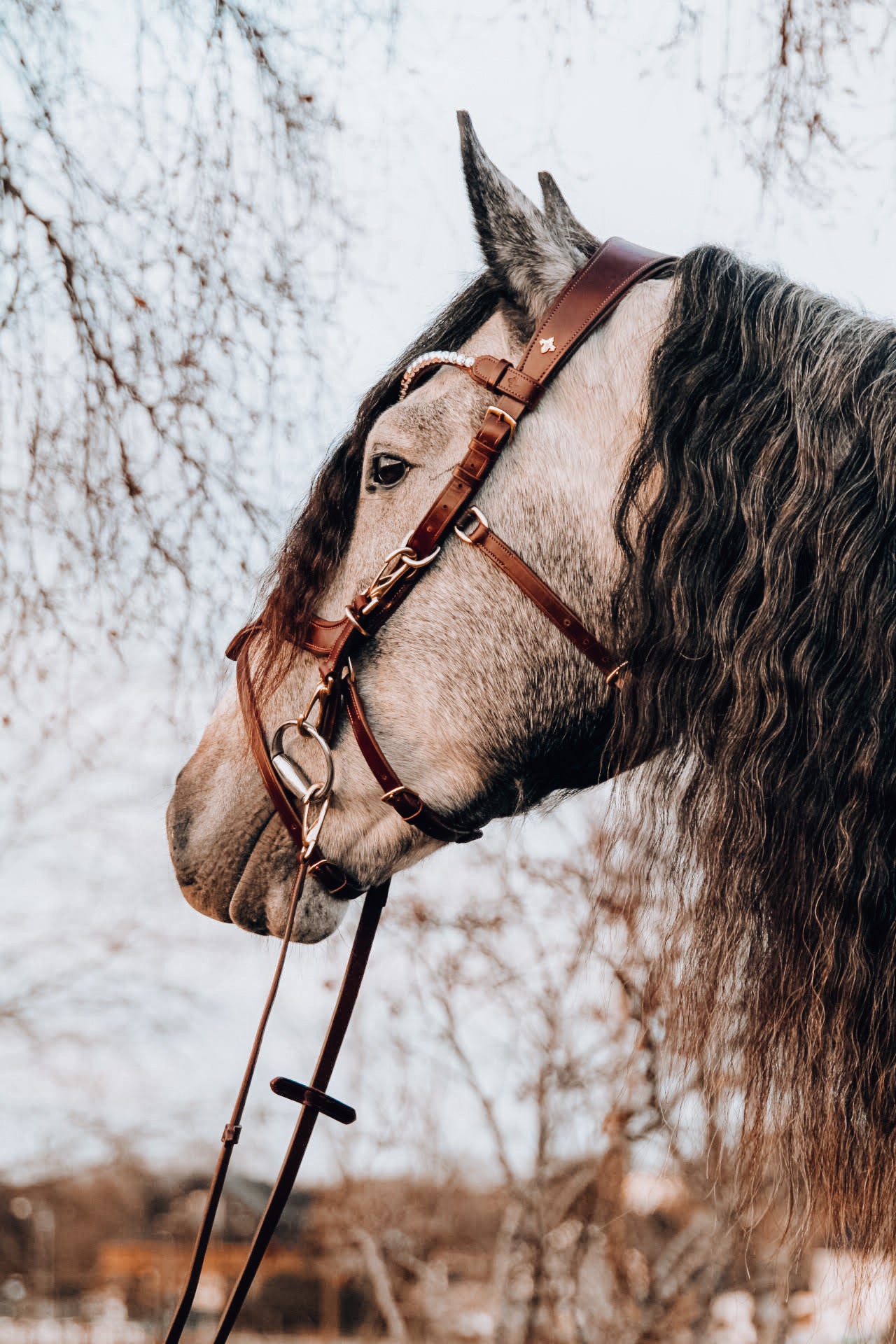 Masego Lily Bridle freeshipping - Wild Rider