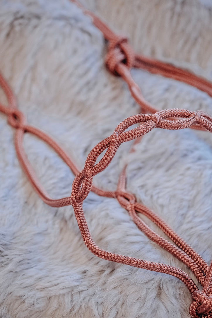 Rope Halters – Wild Rider