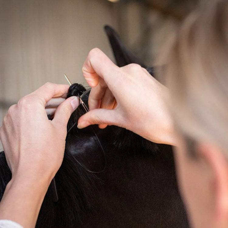 Plaiting & Braiding