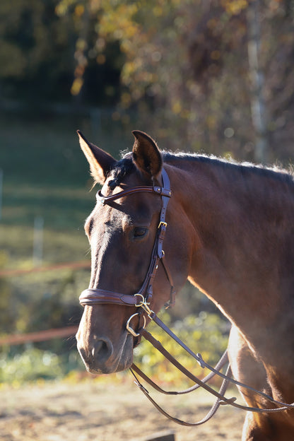 Oliander Multi Bridle - MASEGO bit to bitless system