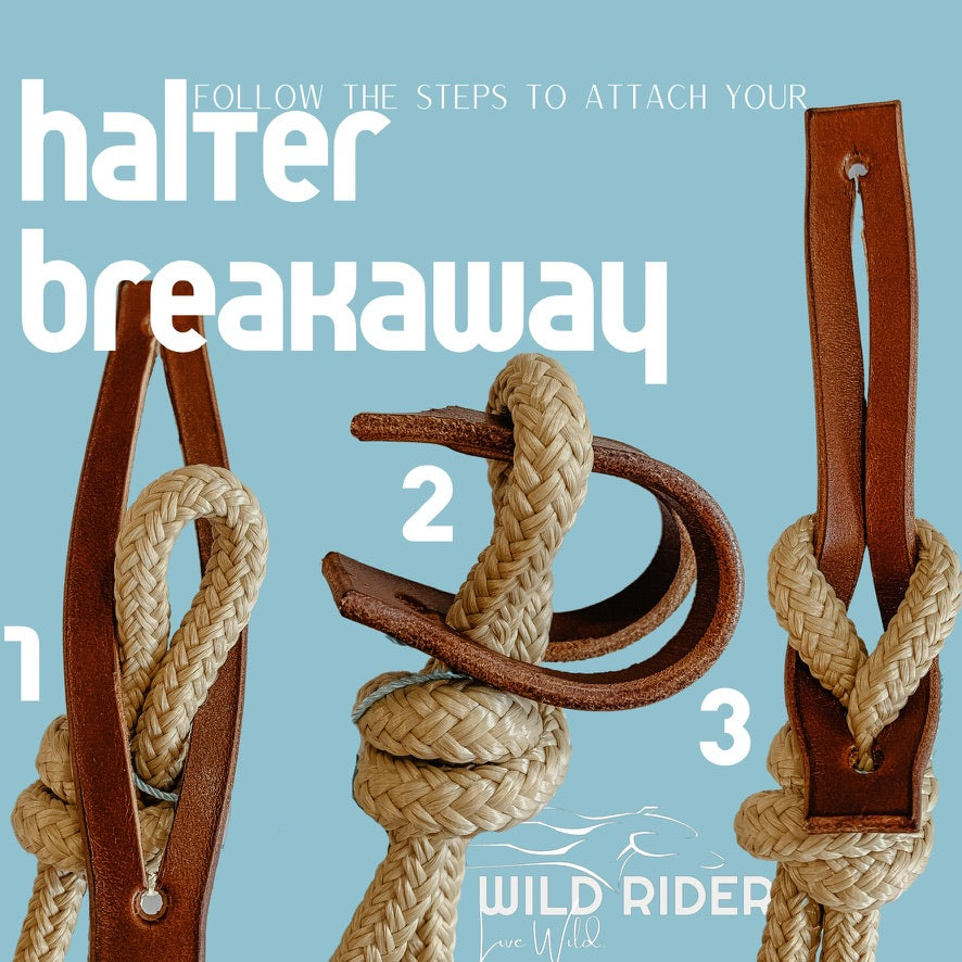 Halter Breakaway Leather Tab