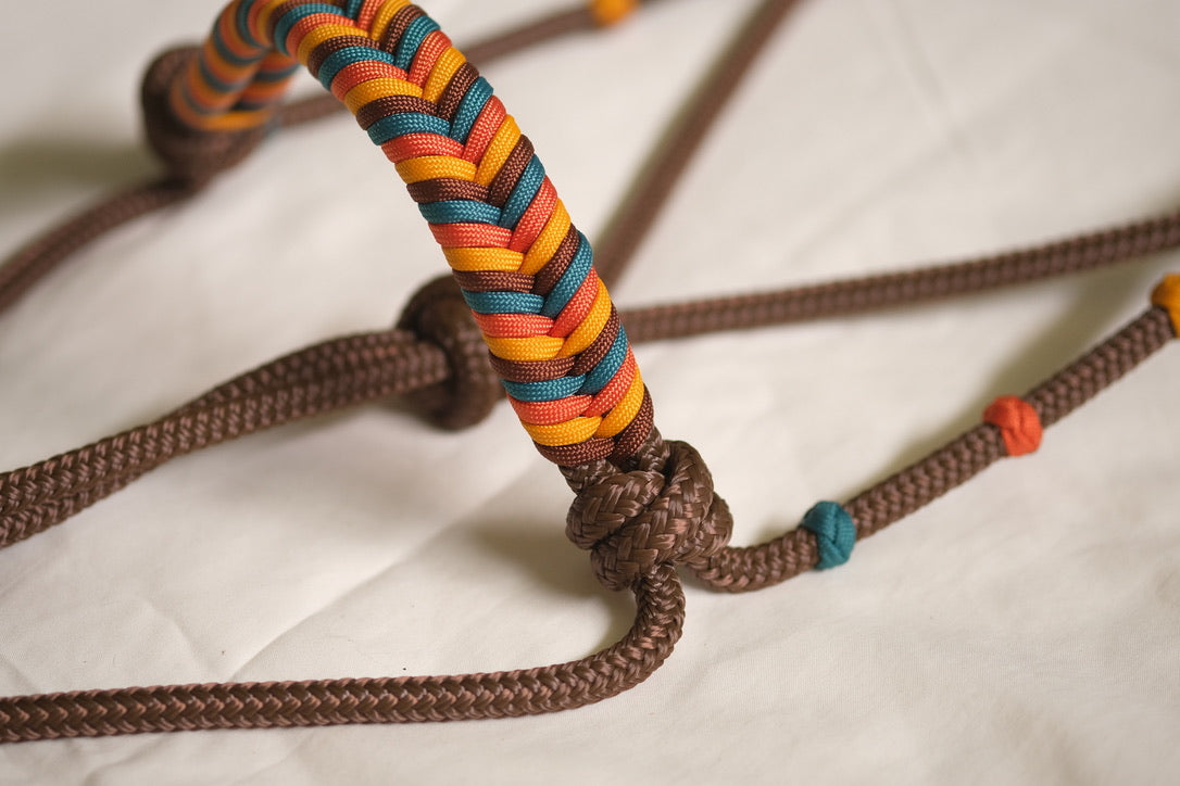 Halo Halter, Lead and Neckrope Set - CUSTOM COLOUR