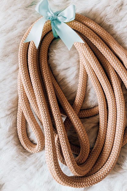 Clip-On Loop Reins