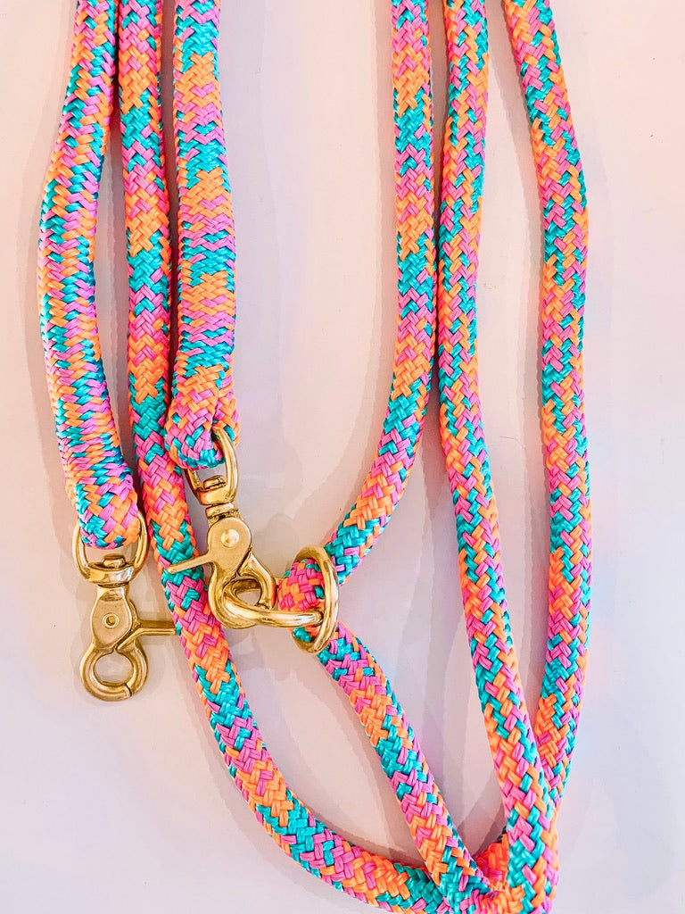Top Only - ROAD RUNNER Dog Leash
