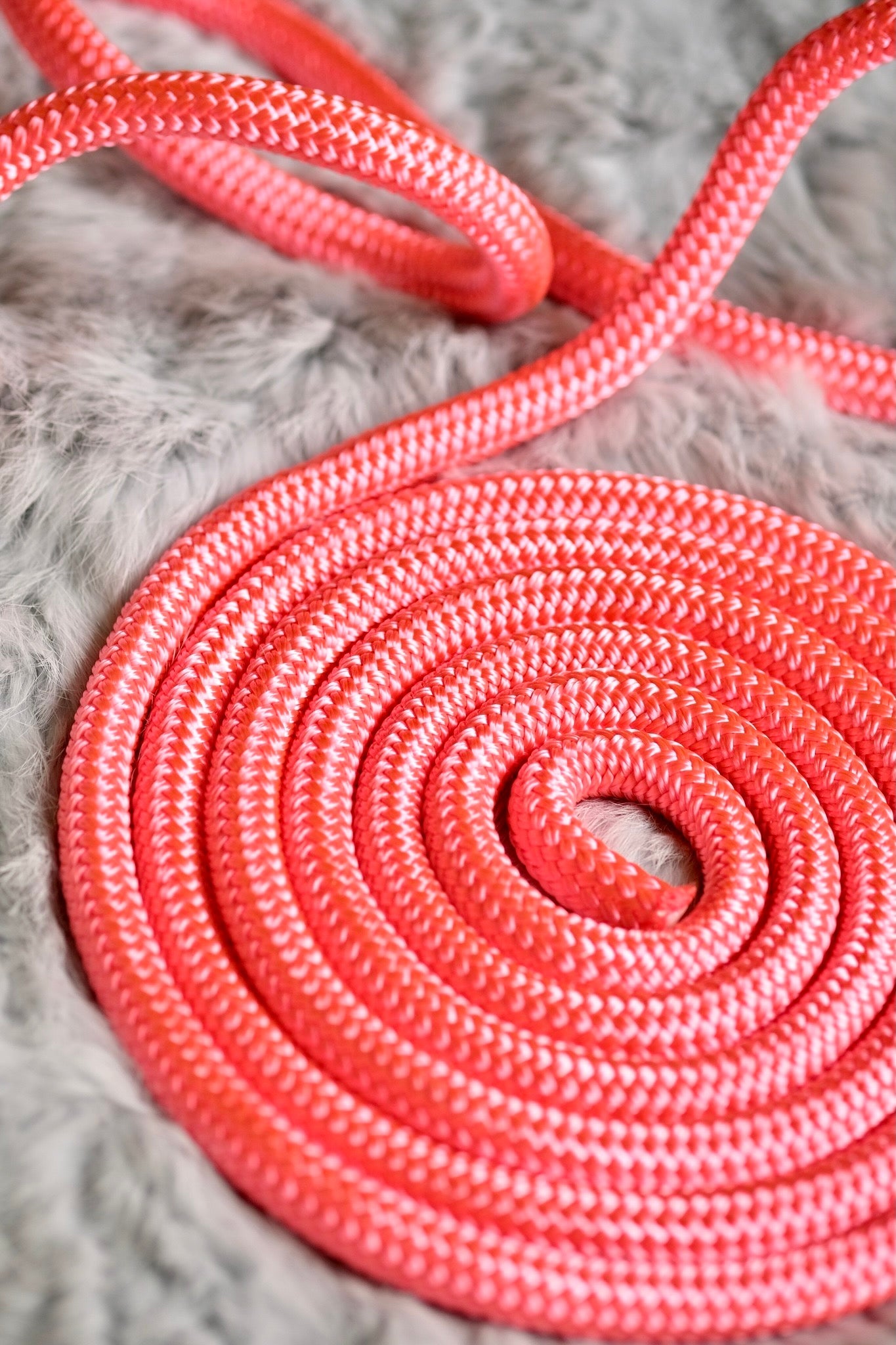 Standard Rope Halter - COB - "GUAVA" IN STCOK