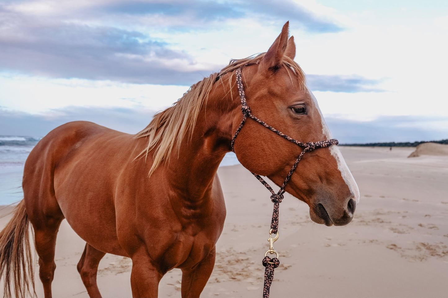 Overlay Halter - "STARDUST X STARDUST"