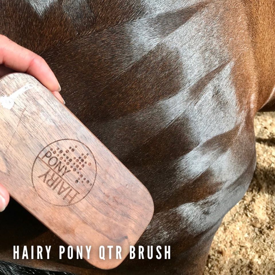 Quarter Mark Horse Brush