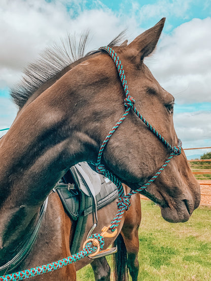 Standard Rope Halter - "Peacock" freeshipping - Wild Rider