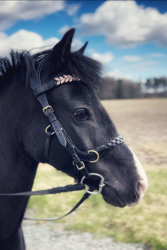 Odessa Bonita multi bridle - For the small ones - MASEGO bit to bitless system