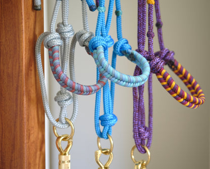 Halo Halter, Lead and Neckrope Set - CUSTOM COLOUR