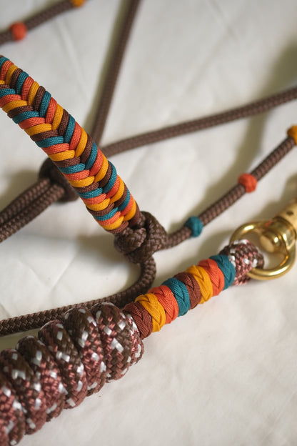 Halo Halter, Lead and Neckrope Set - CUSTOM COLOUR