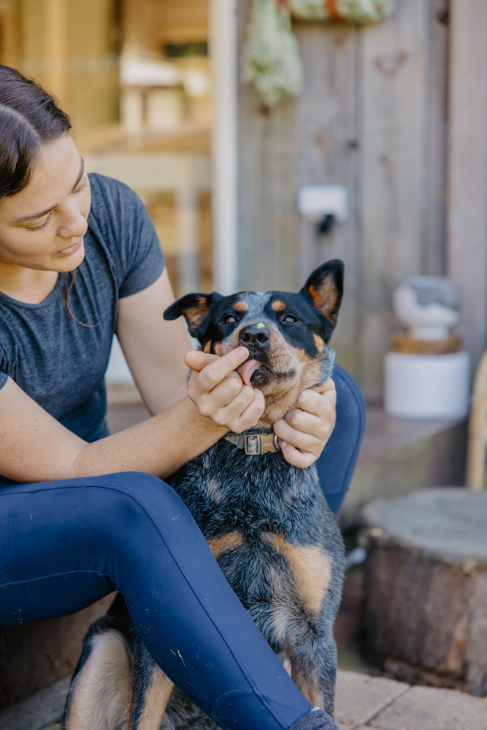 Bee Pawsome - Pet Paw Balm