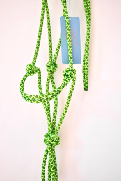 Standard Rope Halter