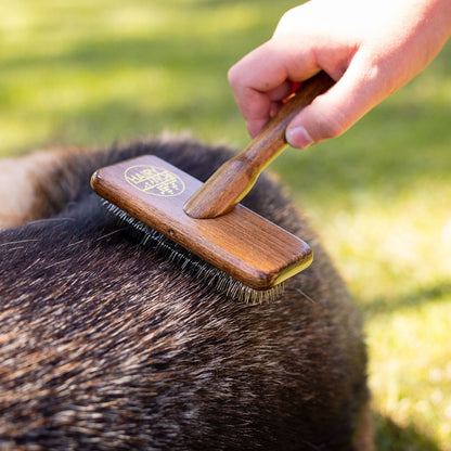 Pooch Deshedding Dog Brush