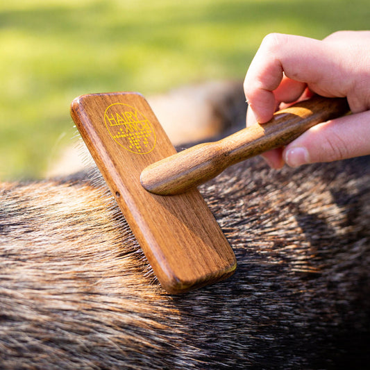Pooch Dog Pamper Kit