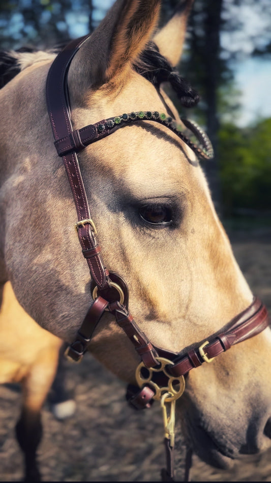 Bella Starwheel hackamore All brown