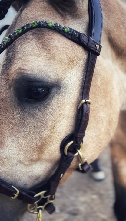 Bosque browband