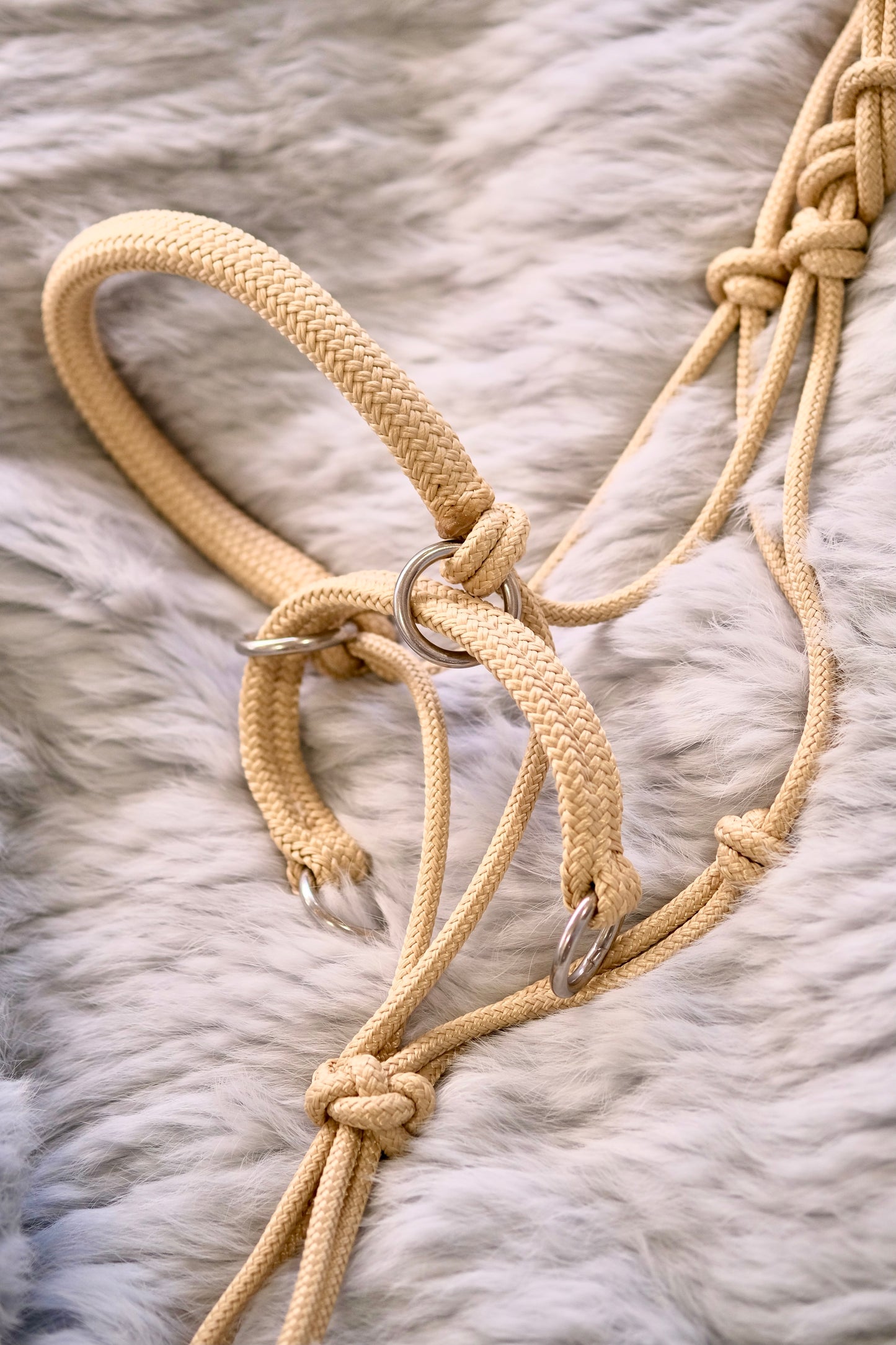 Justin Bitless Riding Rope Halter - with overlay