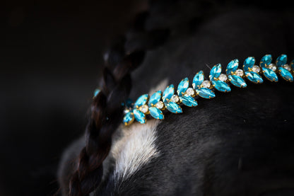 Iris browband