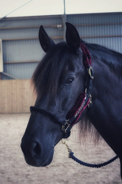 Ivy halter - black/burgundy - MASEGO horsewear