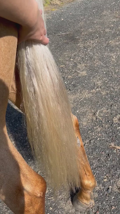 Horse Silky Serum