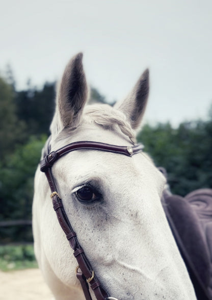 Stella browband