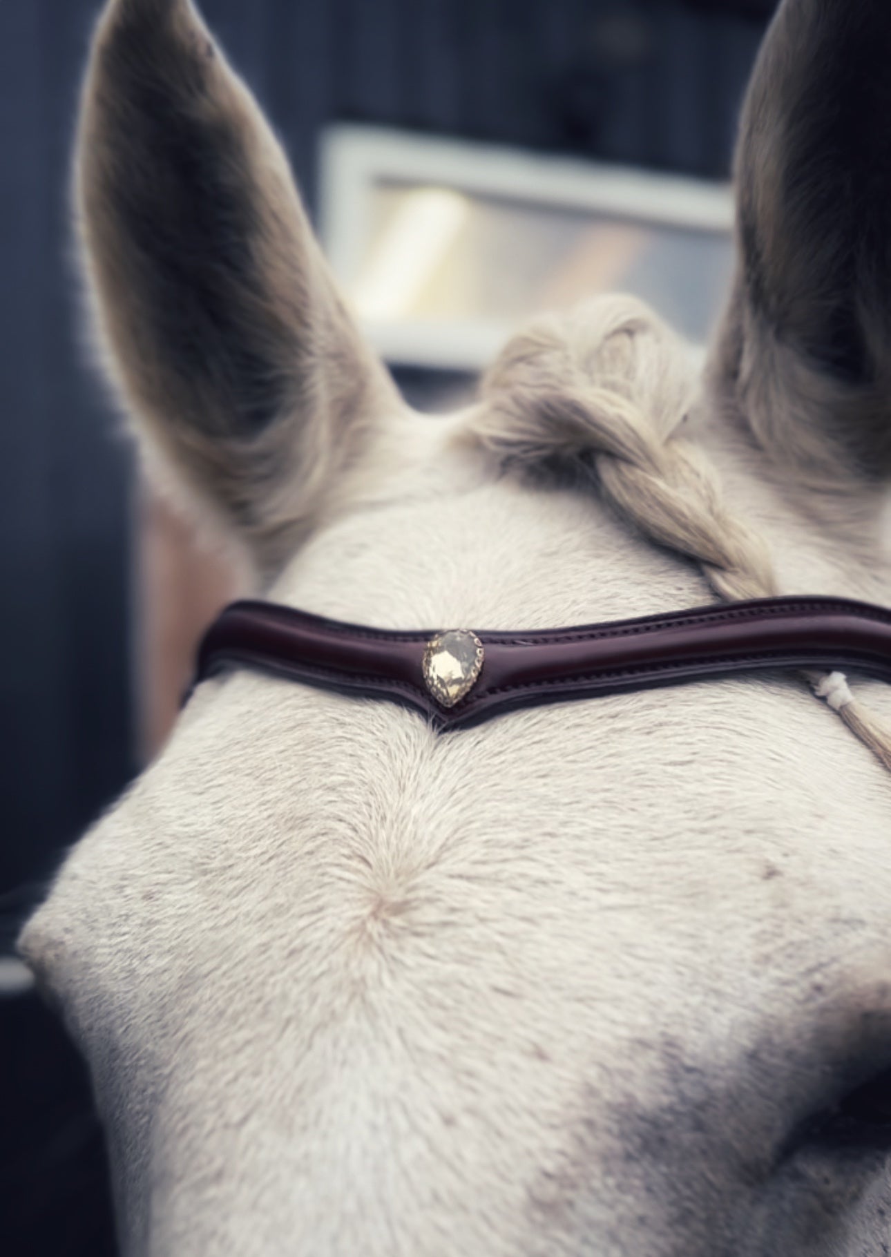 Stella browband