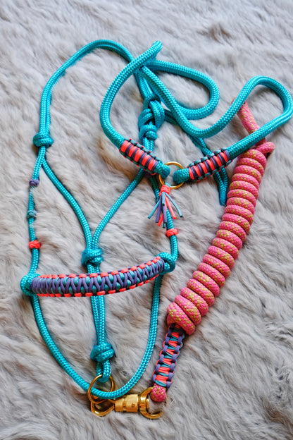 Halo Halter, Lead and Neckrope Set - CUSTOM COLOUR