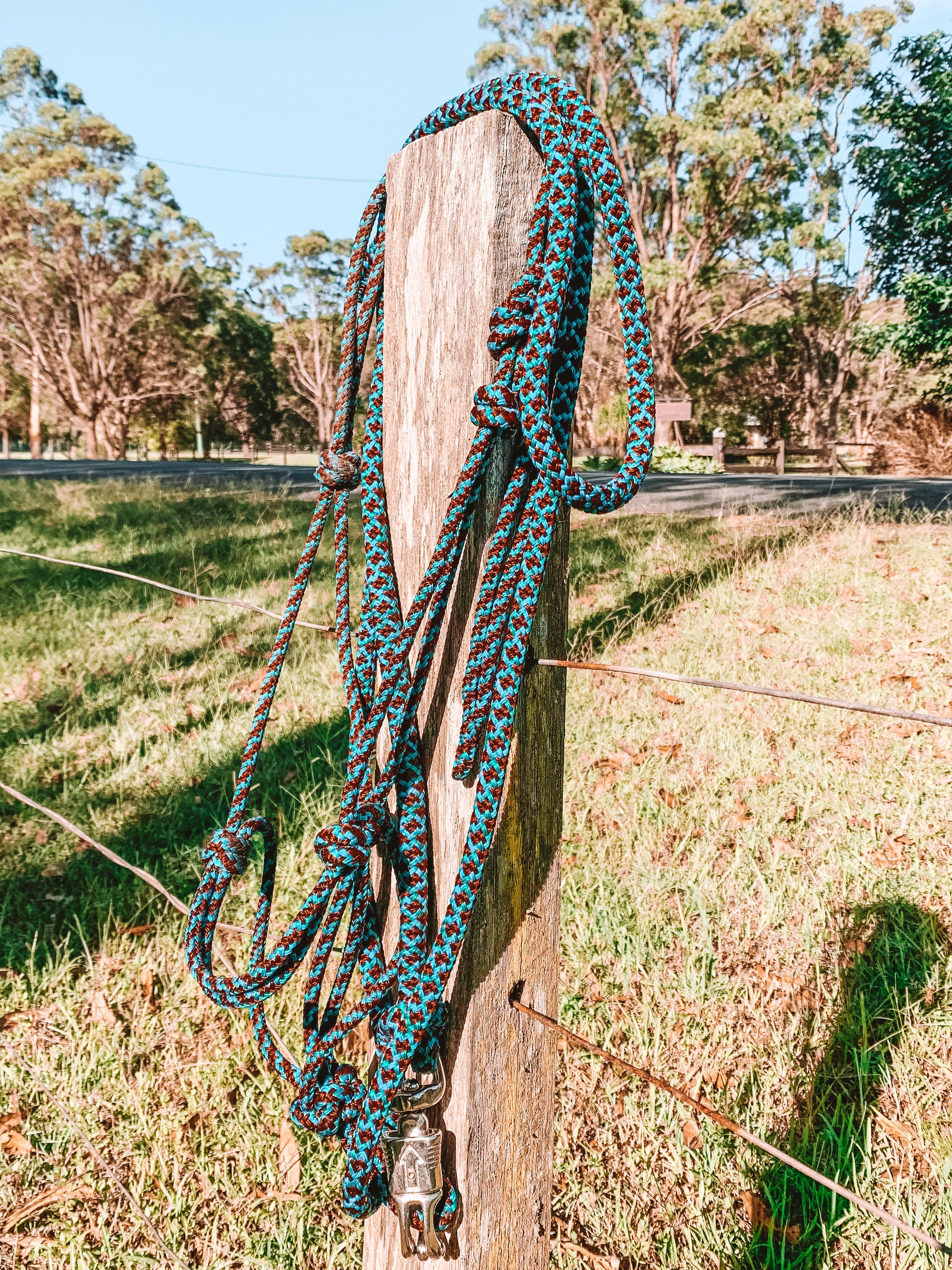 Standard Rope Halter - "Peacock" freeshipping - Wild Rider