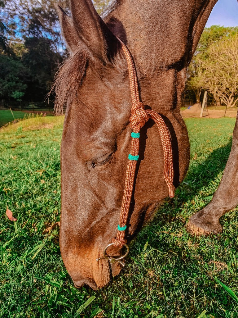 Rope Headstall - Design Your Own