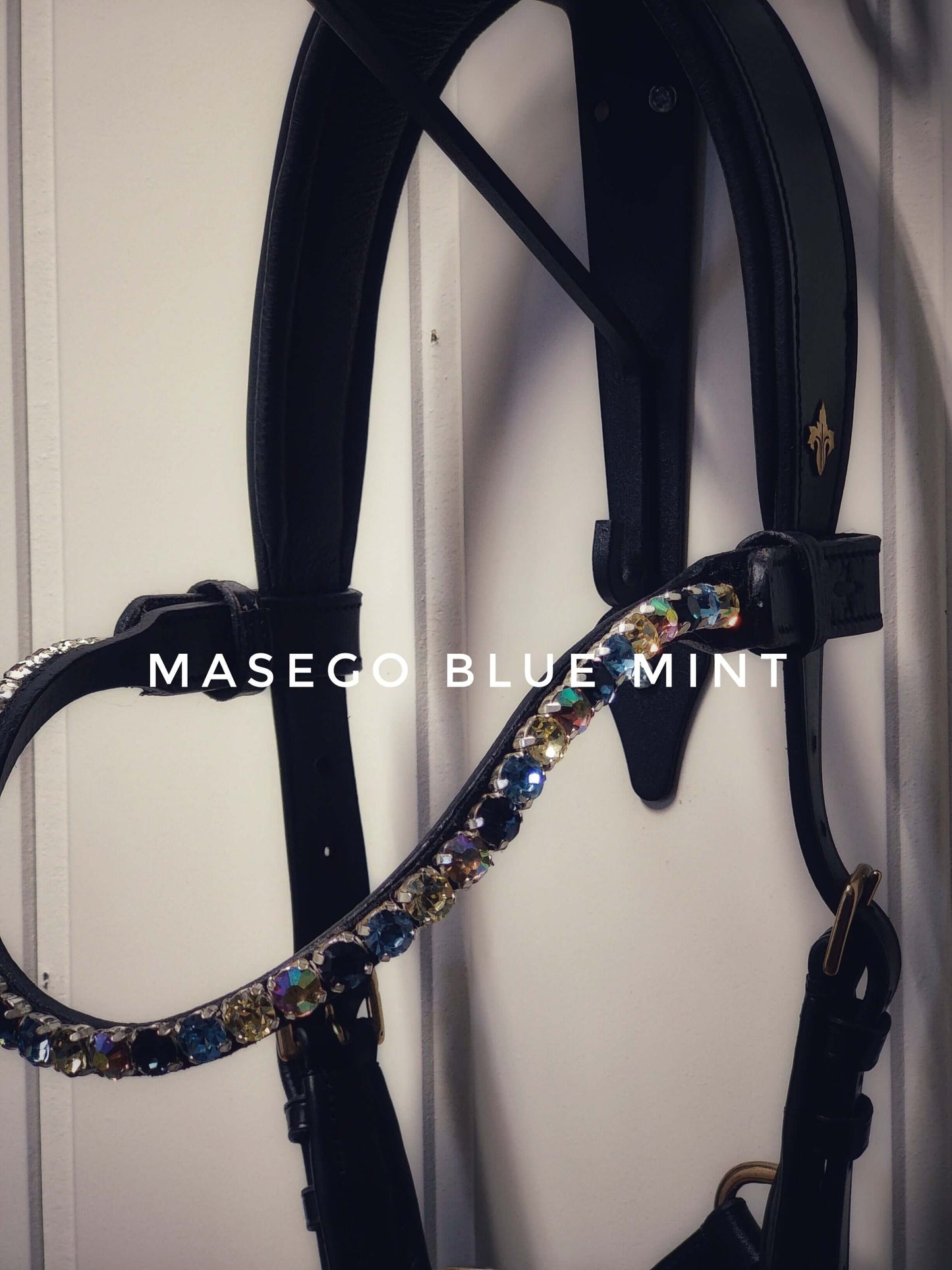 Bit and bitless bridles, halters, riding tights, swarovski browbands and much more