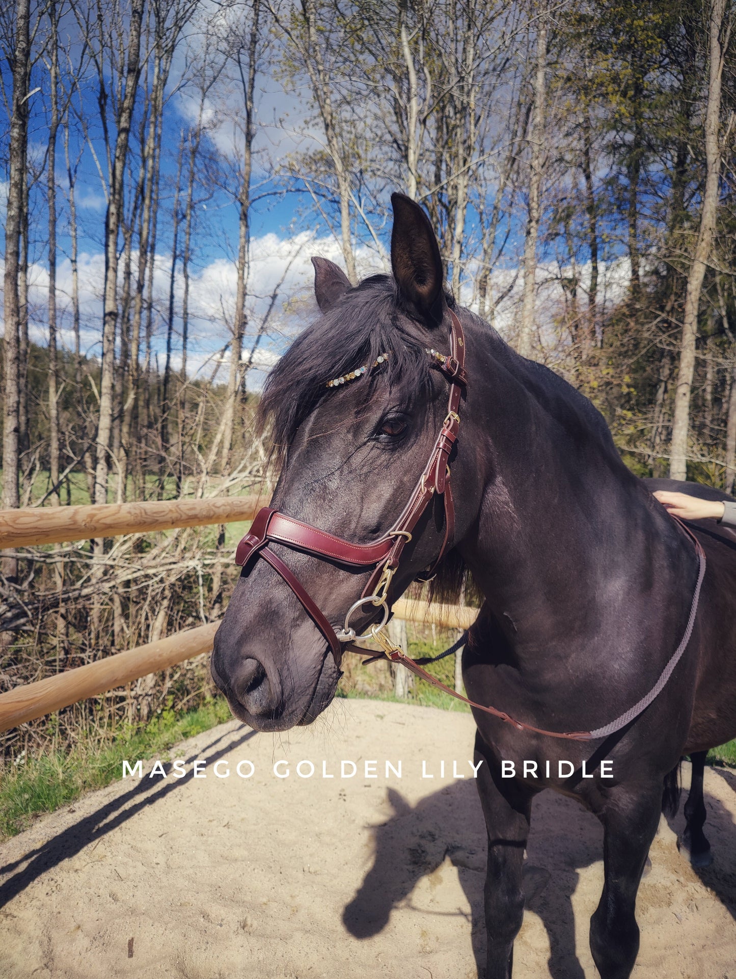 Golden Lily Bridle