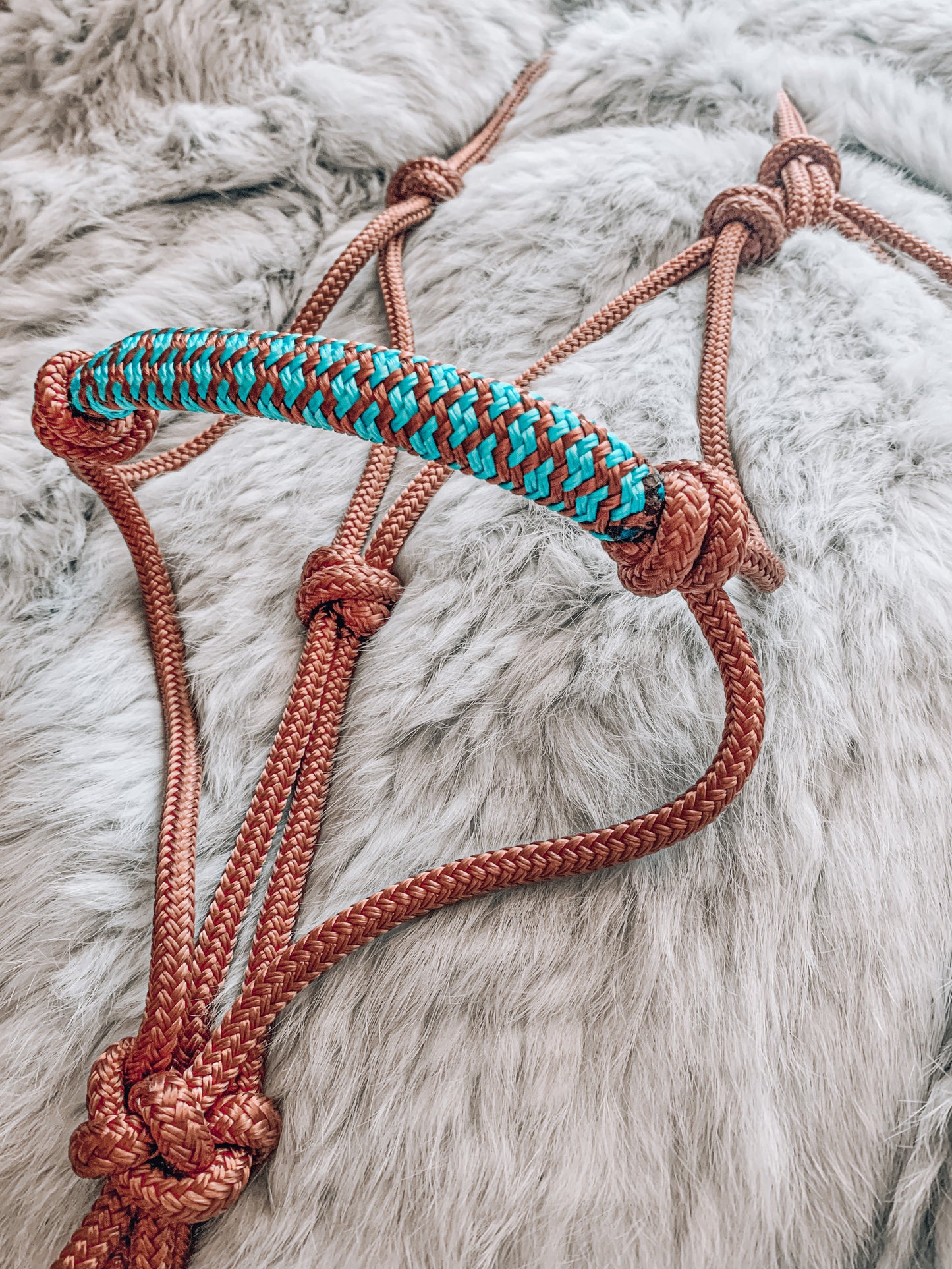 Wild Rider Overlay Halter - "ROSE GOLD X KINGFISHER" Horse rope halter