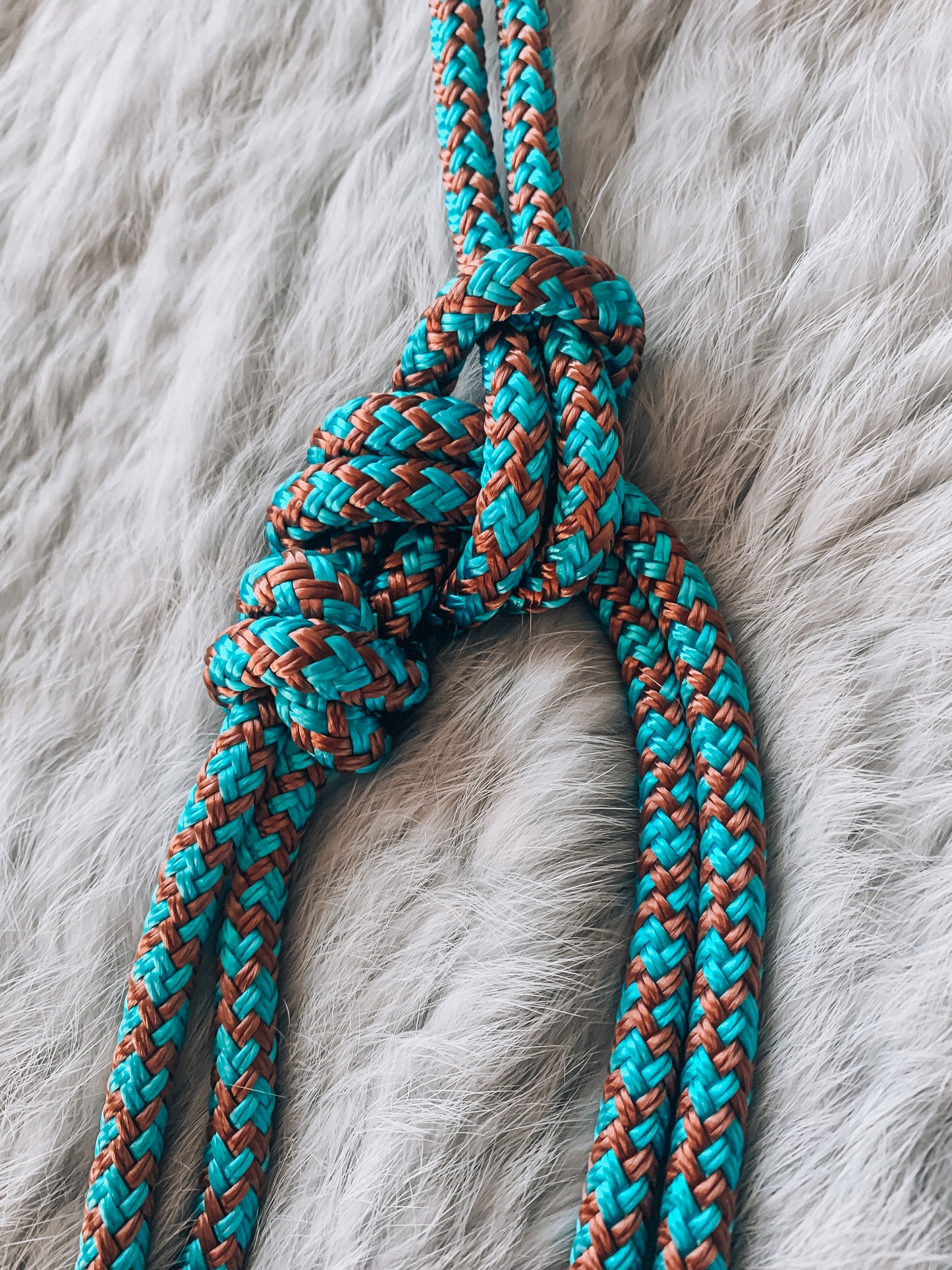 4 Knot Rope Halter - "KINGFISHER"