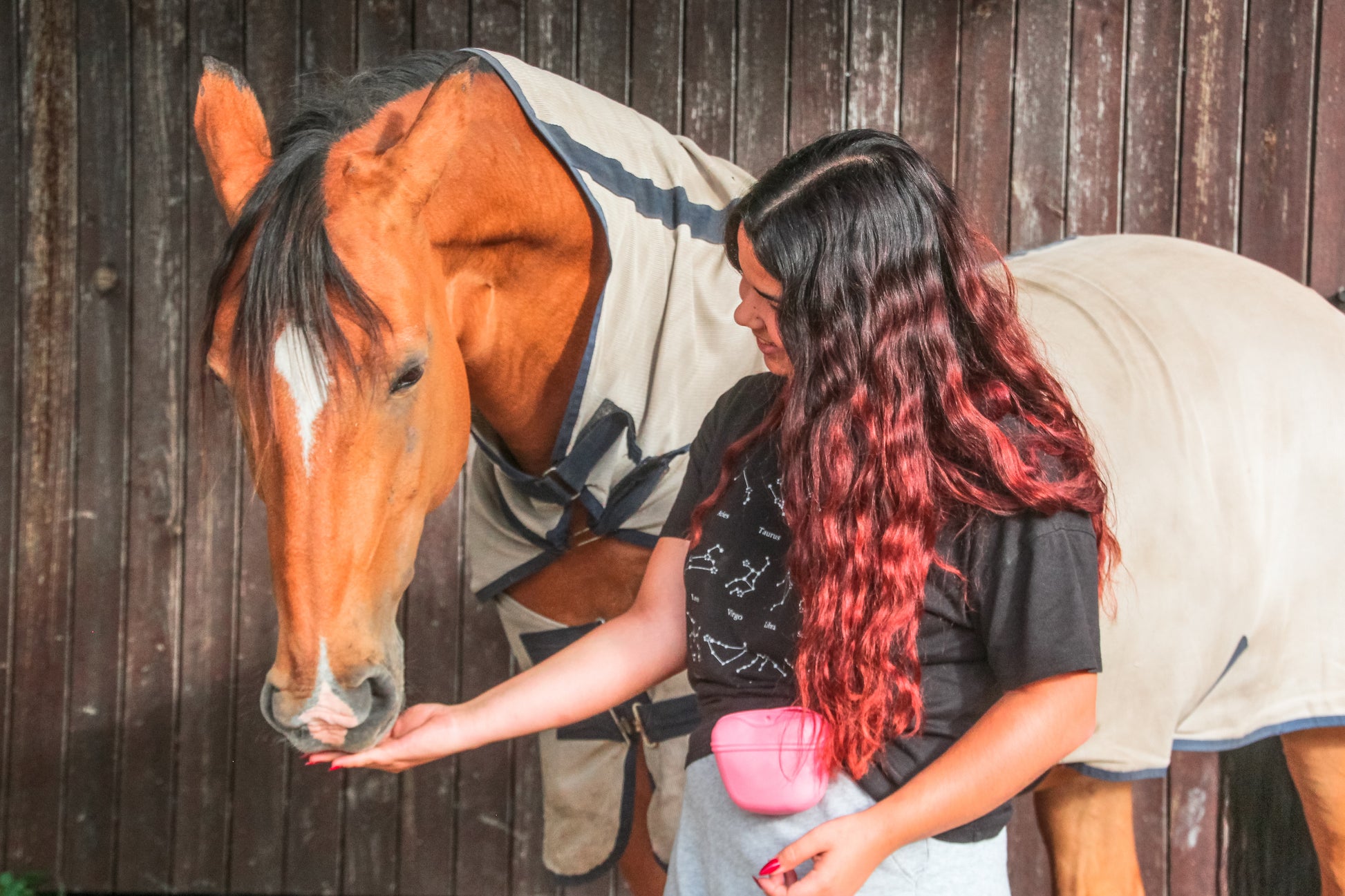 Horse discount treat pouch