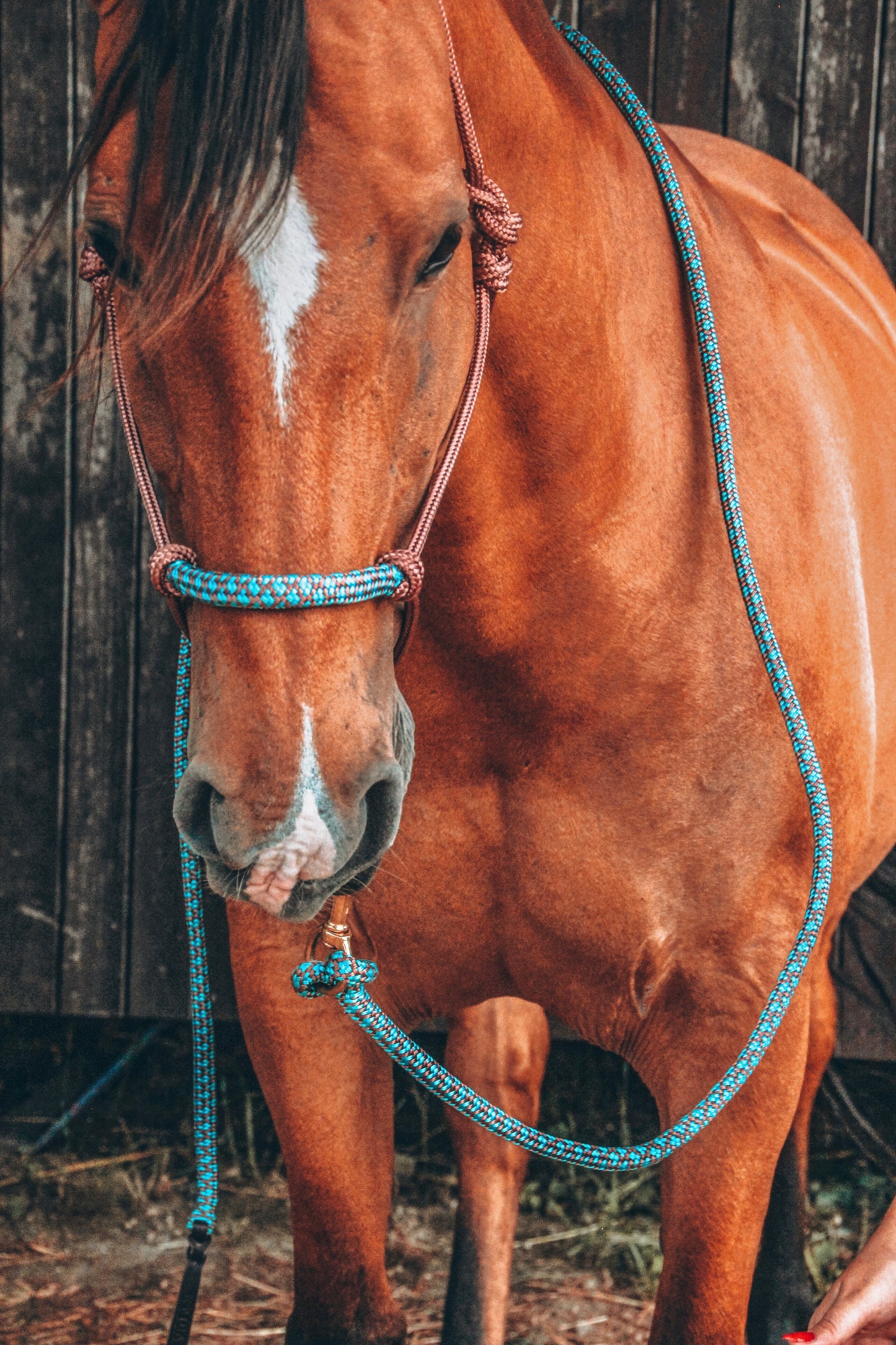 Overlay Halter - "ROSE GOLD X KINGFISHER"