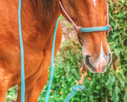 Overlay Halter - "ROSE GOLD X KINGFISHER"