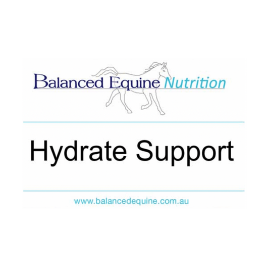 Hydrate Support 1 kg