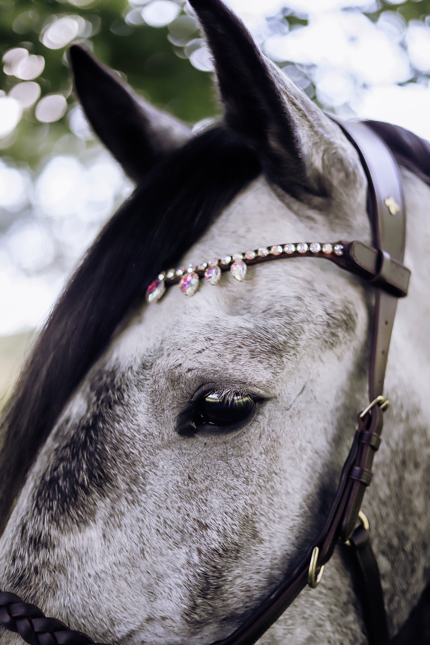 Unicorn Raindrop Browband - MASEGO horsewear