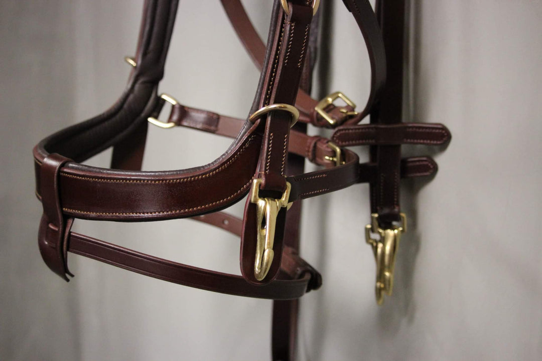 Golden Lily Bridle