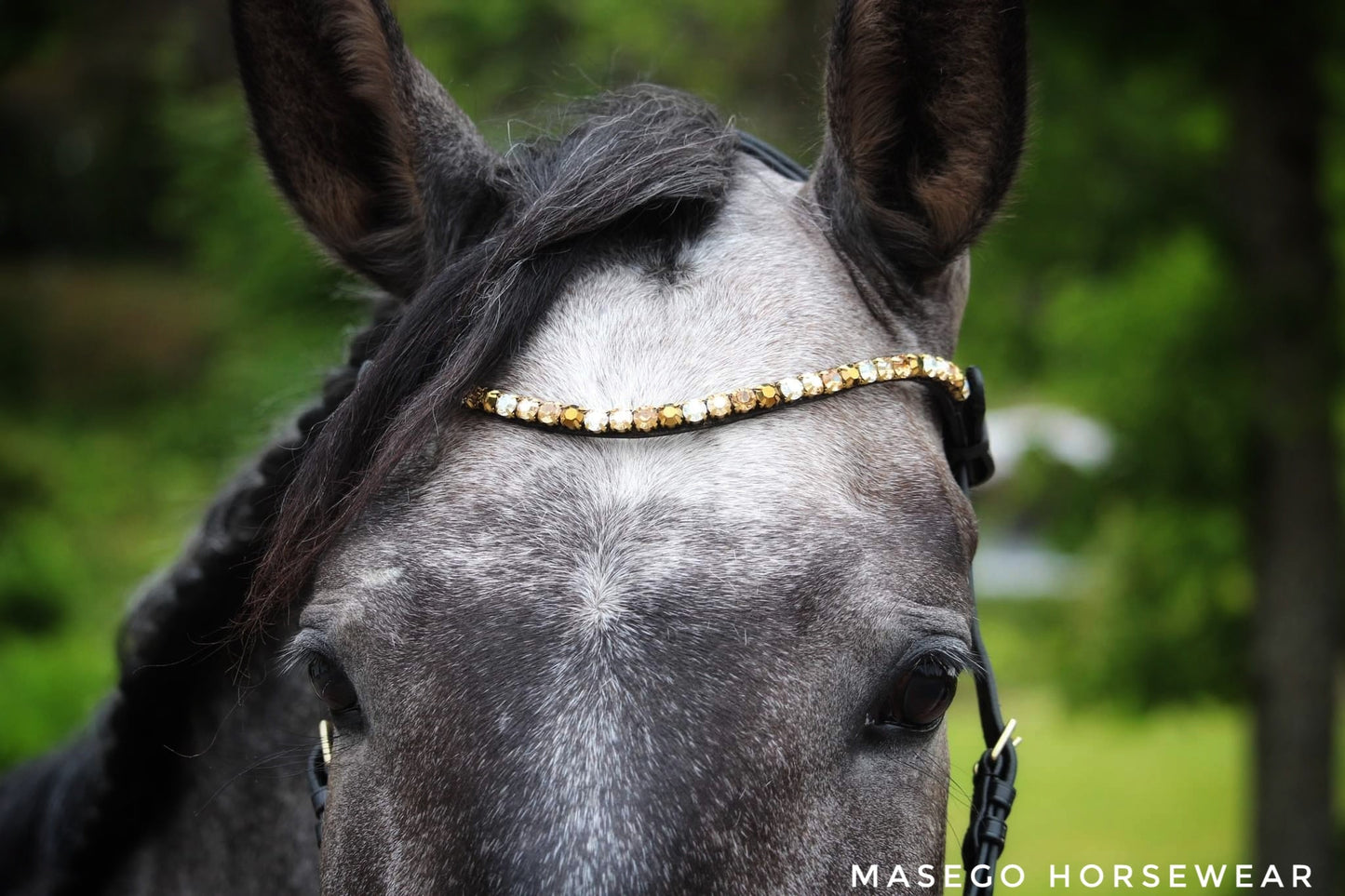 Masego Sparkling amber - MASEGO horsewear