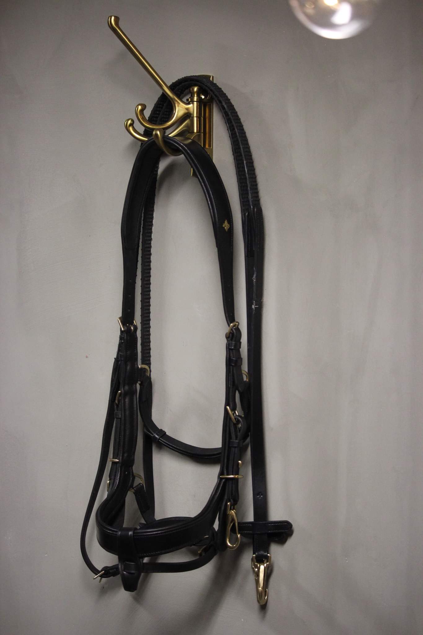 Lily multi bridle