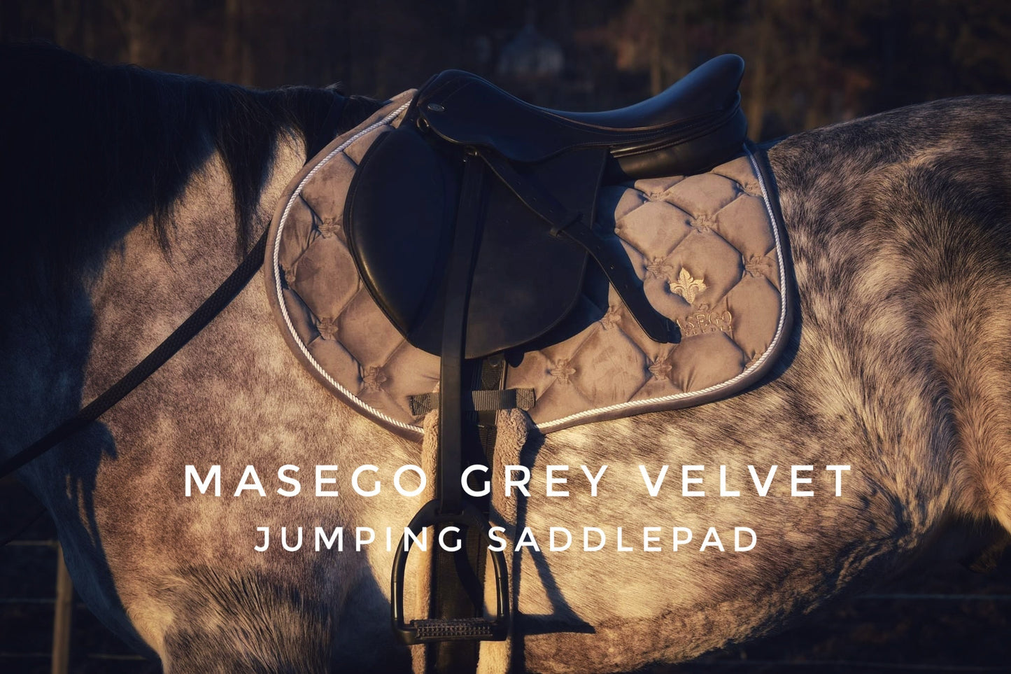 Grey velvet jumping saddle pad