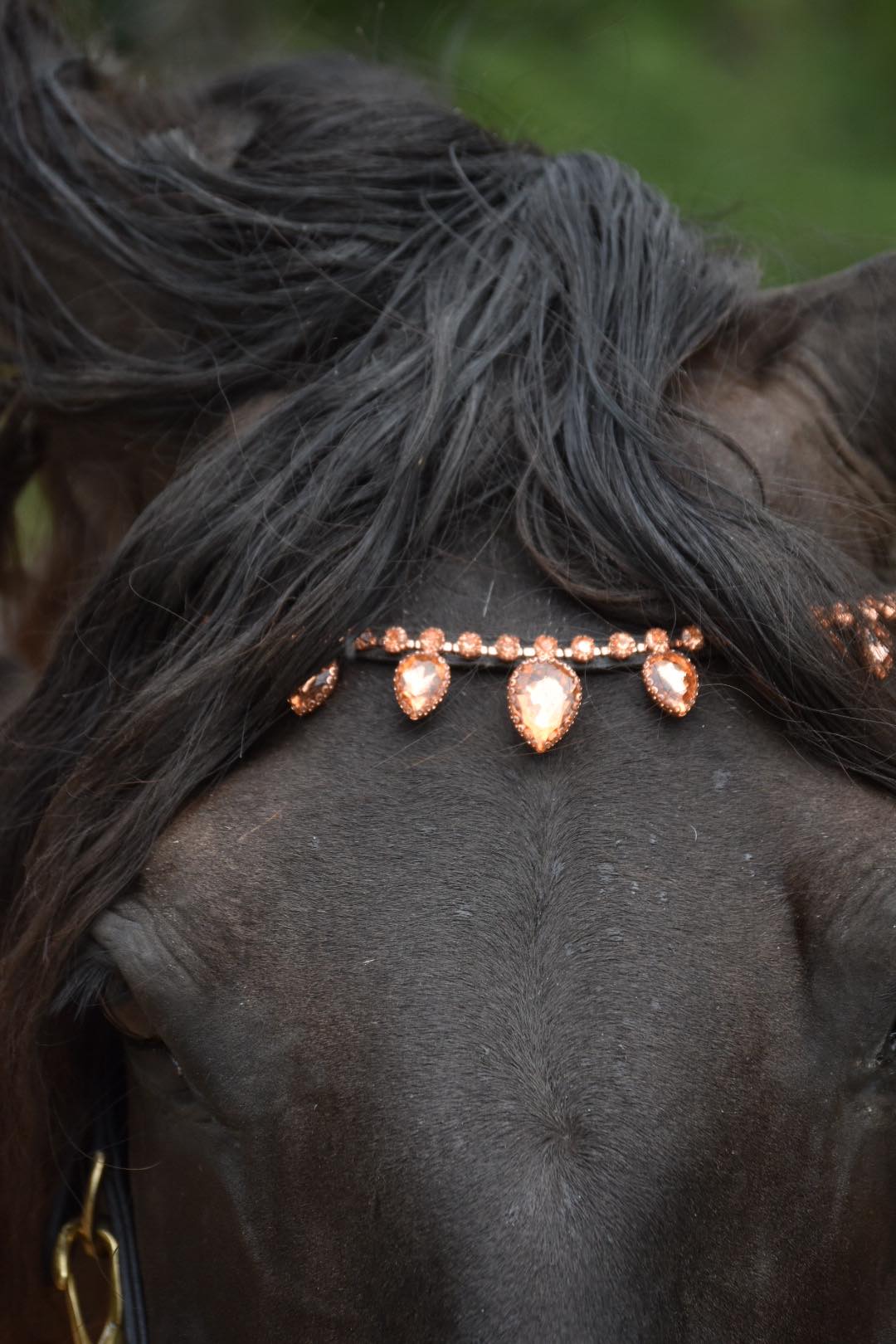 MASEGO horsewear rosegold raindrop browband - MASEGO horsewear