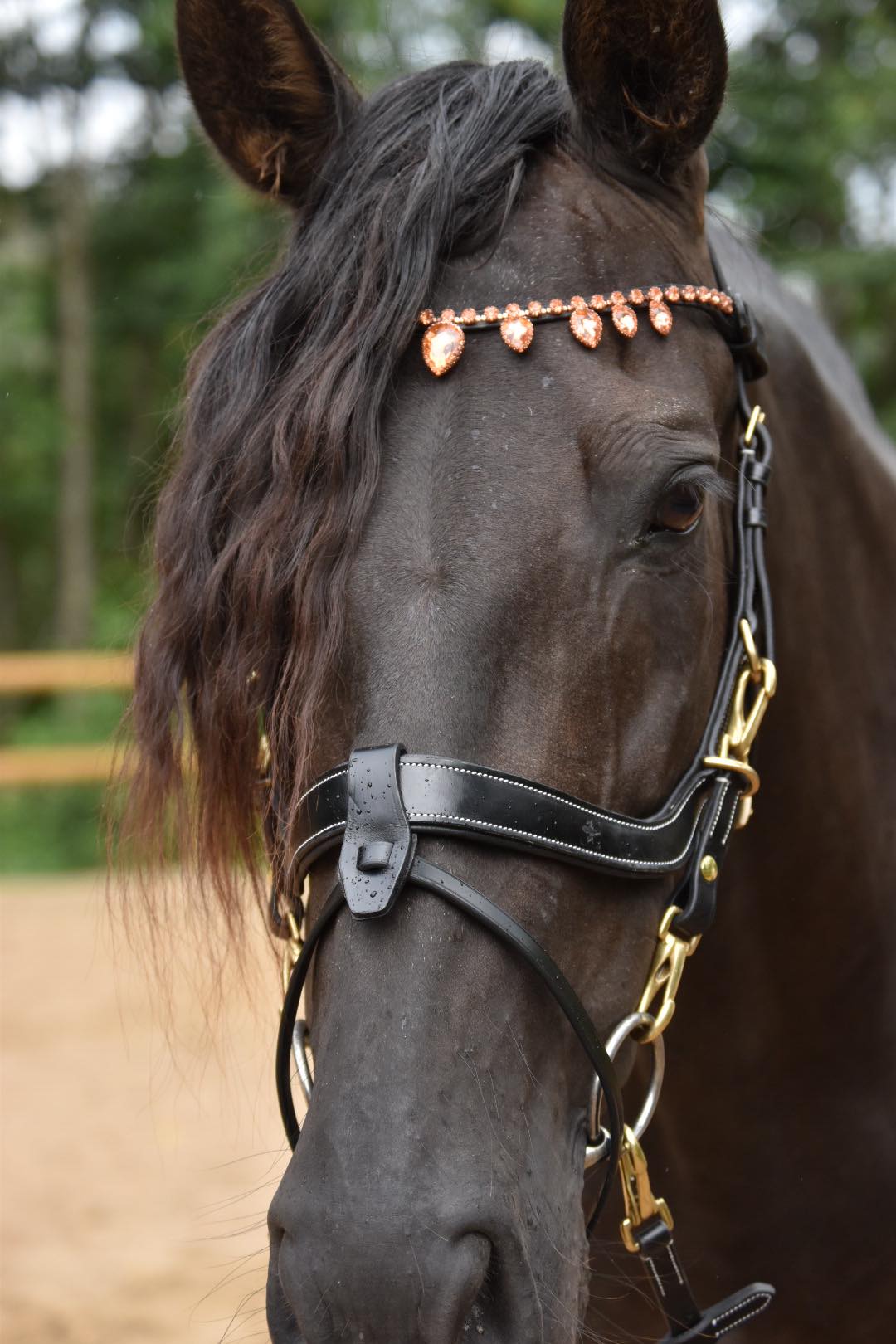 MASEGO horsewear rosegold raindrop browband - MASEGO horsewear